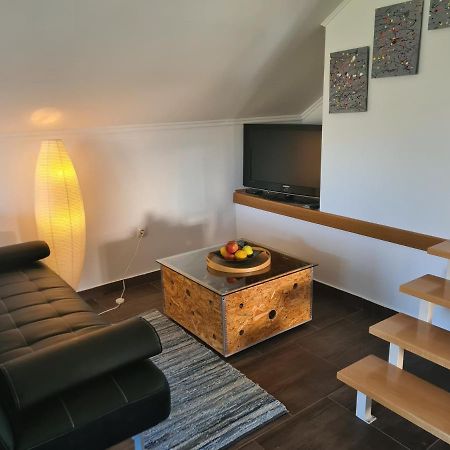Apartment Marin Ogulin Exterior photo